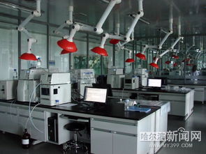 冰城乳品 乳此新鮮系列報道之三｜將新鮮進行到底 冰城乳企牛在拼鮮投資管理